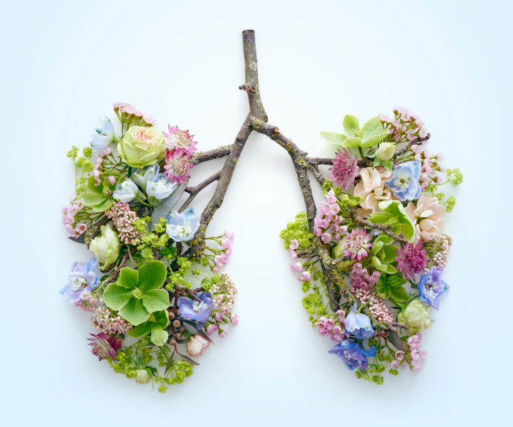 July 2025 Monthly Breathwork
